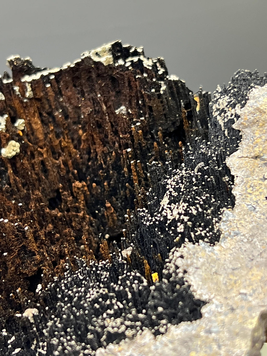 Museum Grade, Very Special Specularite And Limonite With Stalactite Goethite Specimen - Crystal Gemstone AE 