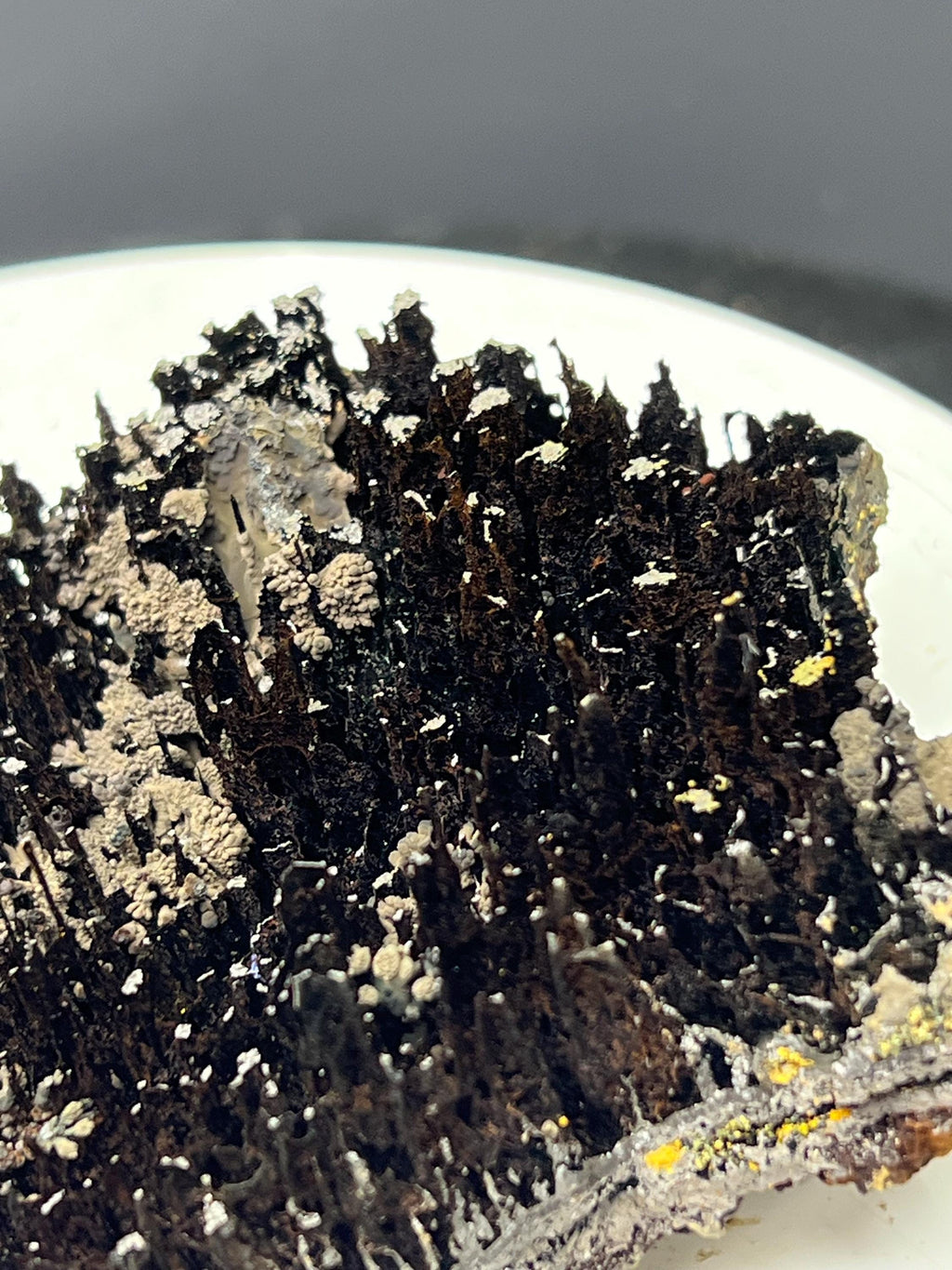 Museum Grade, Very Showy Limonite And Specularite With Stalactite Goethite Specimen - Crystal Gemstone AE 