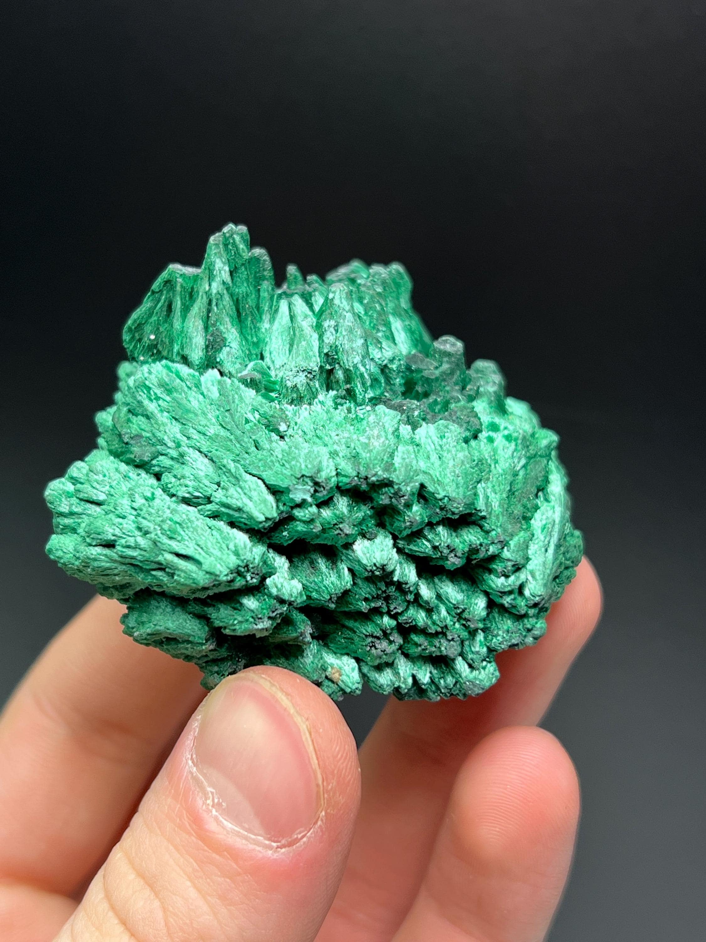 Showy Malachite Specimen - Crystal Gemstone AE 