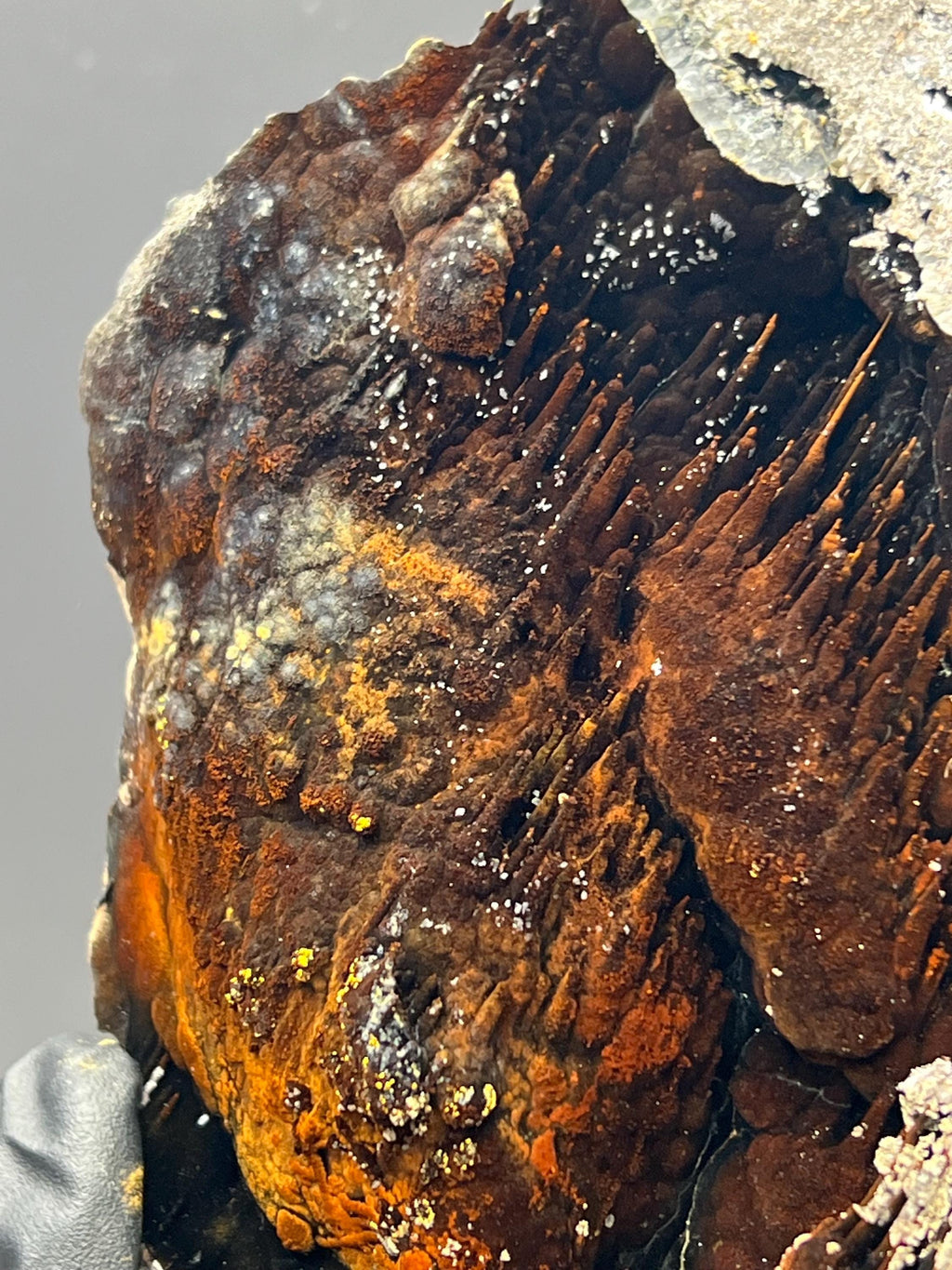 Museum Grade Showy Limonite And Specularite On Stalactite Goethite, For Special Collection Piece - Crystal Gemstone AE 