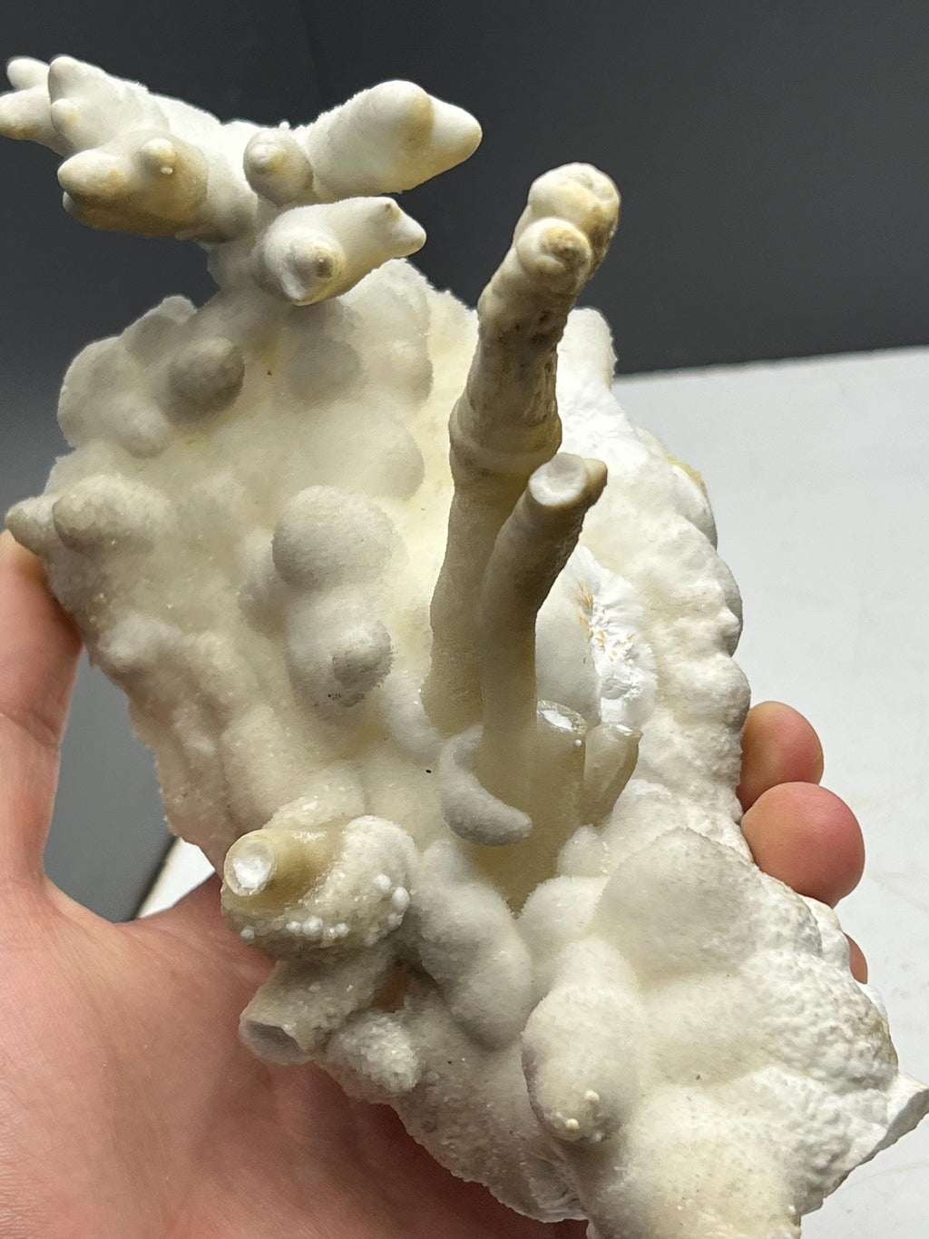 Very Special And Showy Stalactite And Botryoidal Formed Aragonite, From Turkey - Crystal Gemstone AE 