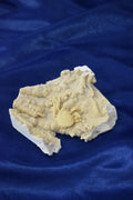 Crab Fossile From Turkey - Crystal Gemstone AE 