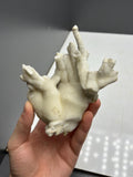 Very Showy Stalactite Aragonite Mineral, From Turkey - Crystal Gemstone AE 