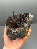 Museum Quality, Very Showy Limonite On Stalactite Goethite, For Special Collections - Crystal Gemstone AE 
