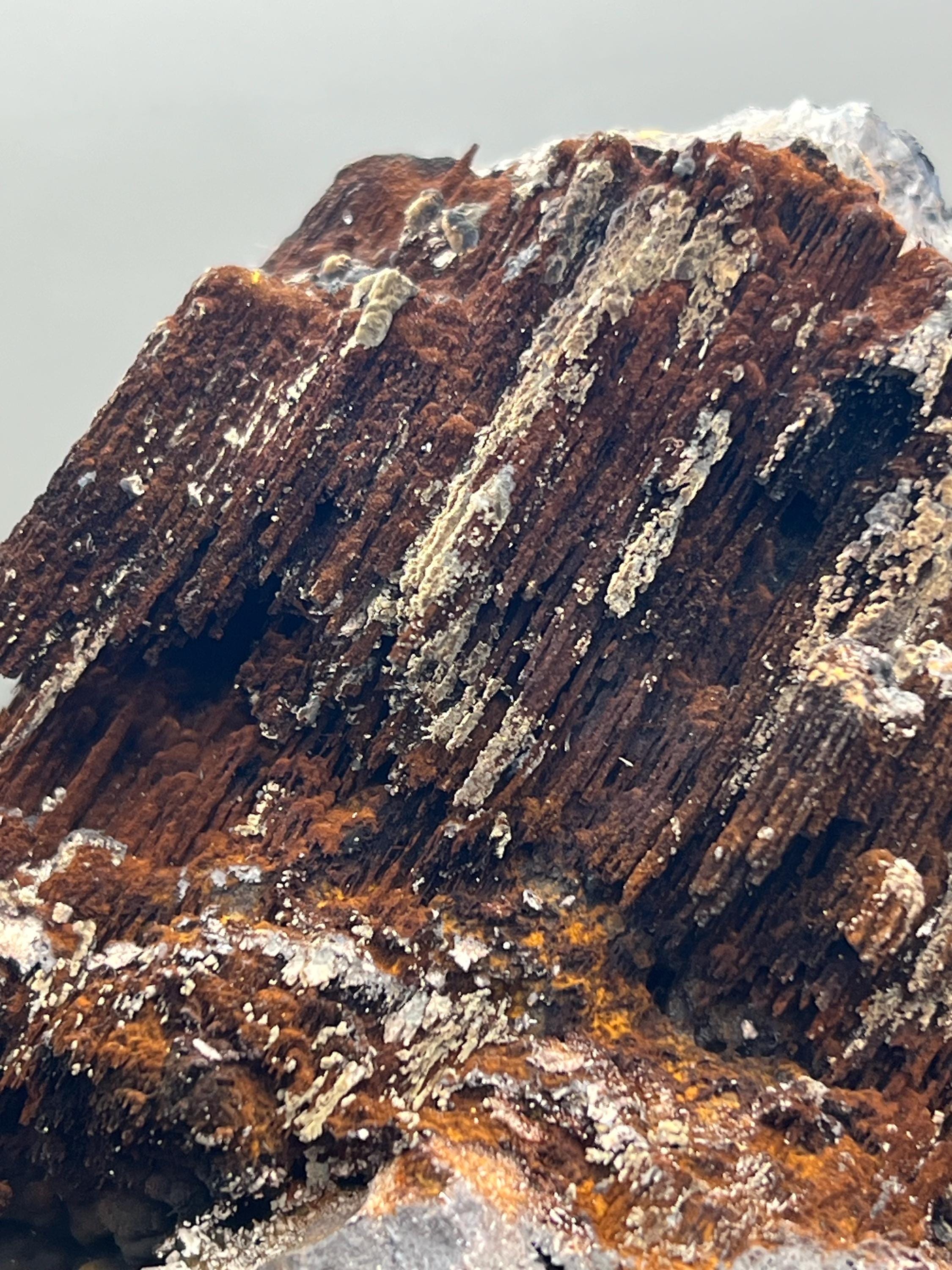 Limonite And Specularite On Stalactite Goethite - Crystal Gemstone AE 