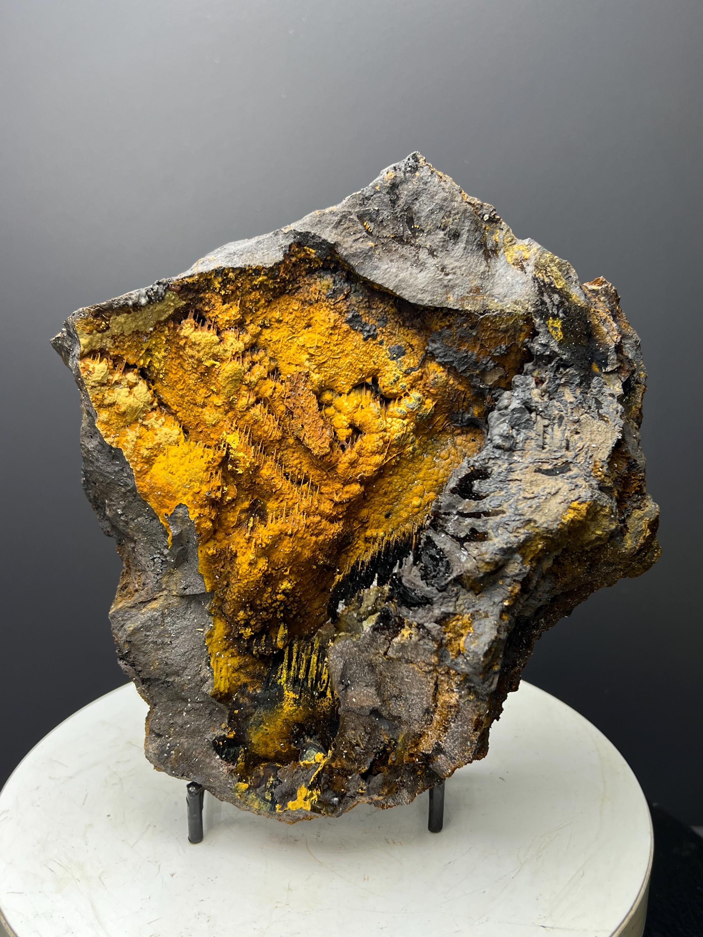 Museum Quality, Very Special And Showy Limonite With Stalactite Goethite - Crystal Gemstone AE 