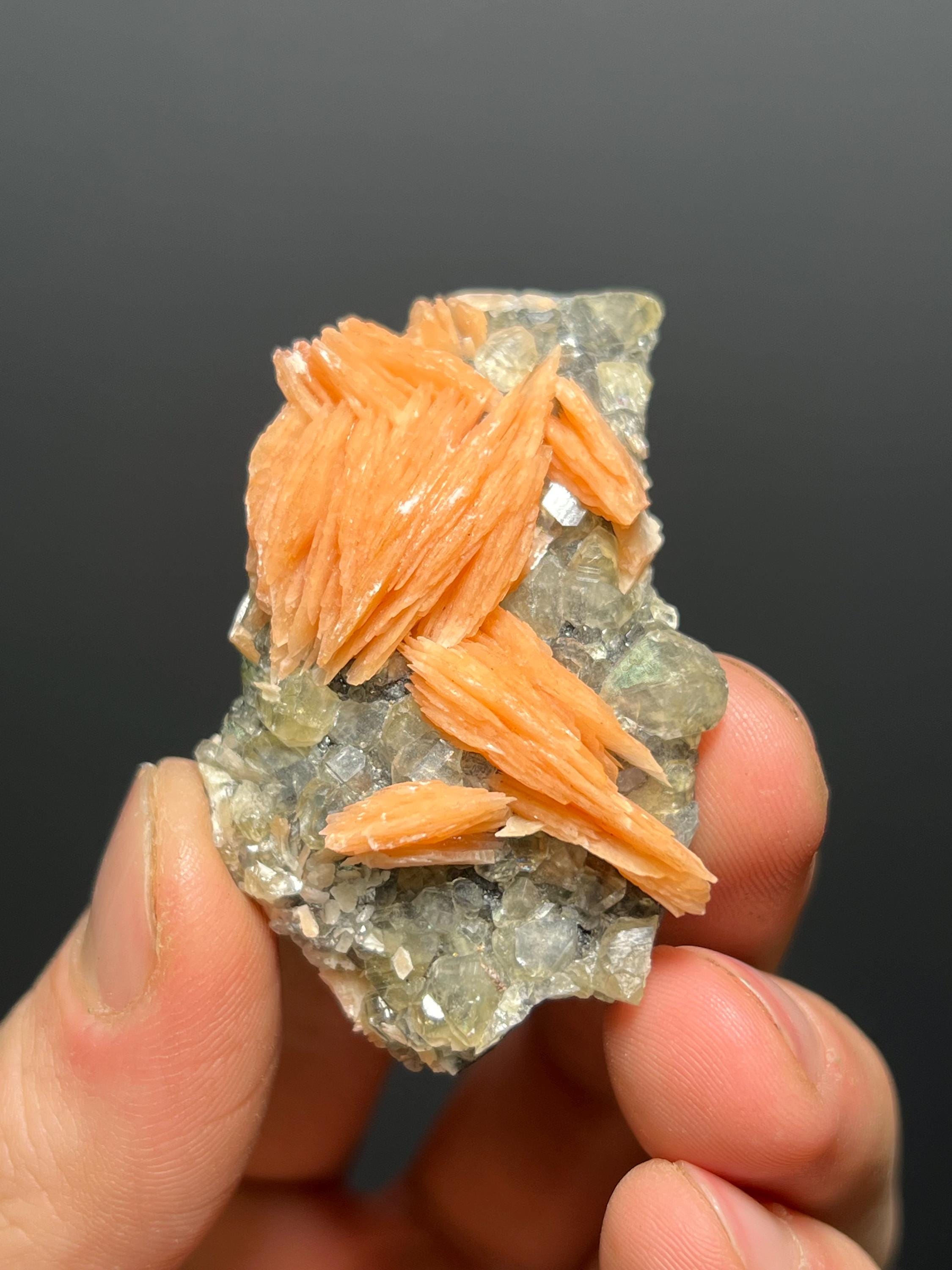 Cerussite And Barite On Galena Specimen, 68gram - Crystal Gemstone AE 