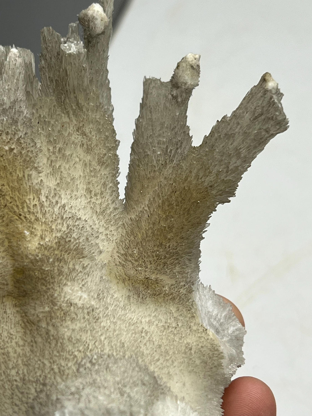 Very Showy Stalactite Aragonite Mineral, From Turkey - Crystal Gemstone AE 