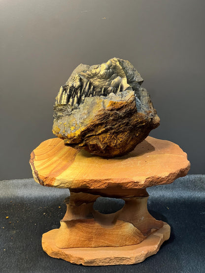 Museum Grade, Very Showy Golden Color Stalactite Goethite Specimen - Crystal Gemstone AE 