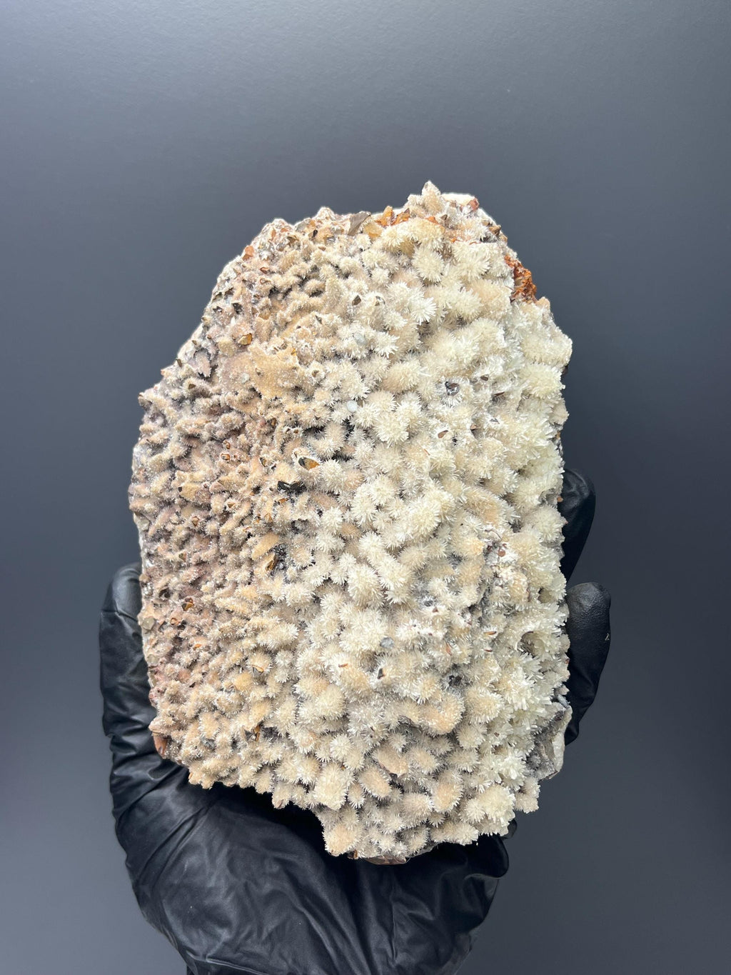 Feather Crystal Calcite Specimen - Crystal Gemstone AE 