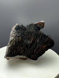 Very Showy Limonite With Stalactite Goethite Specimen - Crystal Gemstone AE 