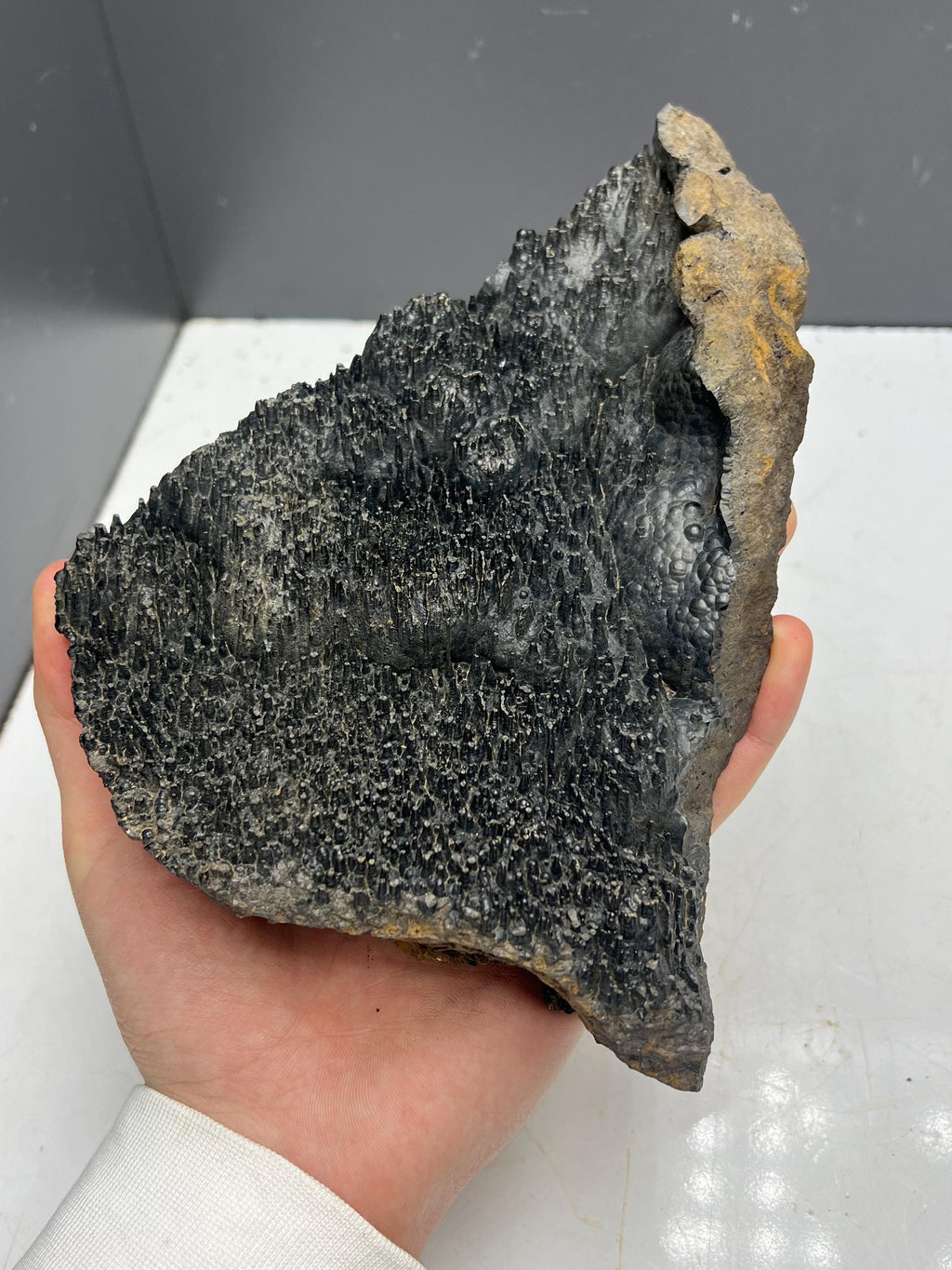 Museum quality, Very special slim stalactites Goethite specimen, Special Collections - Crystal Gemstone AE 