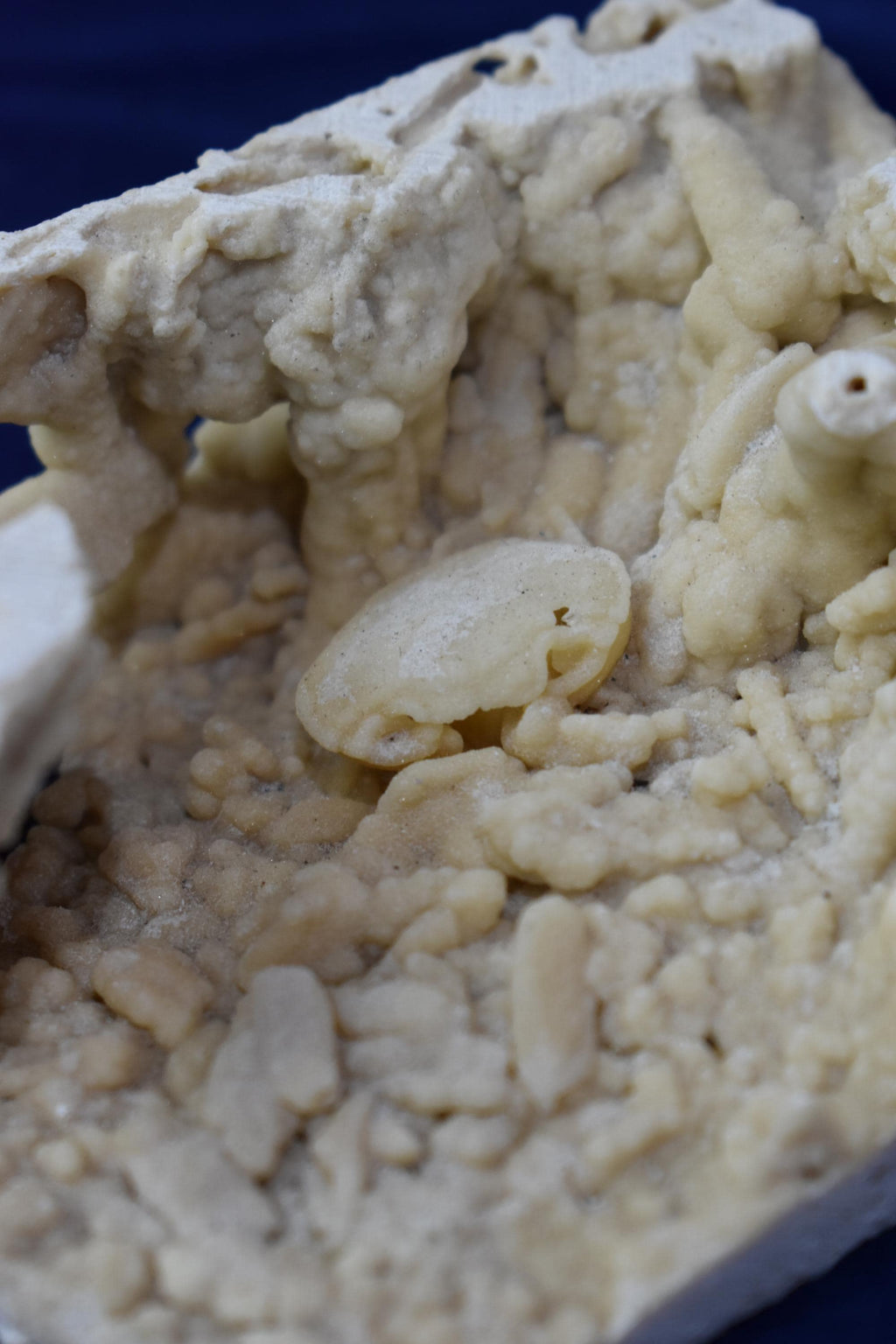 Crab Fosille From Turkey - Crystal Gemstone AE 