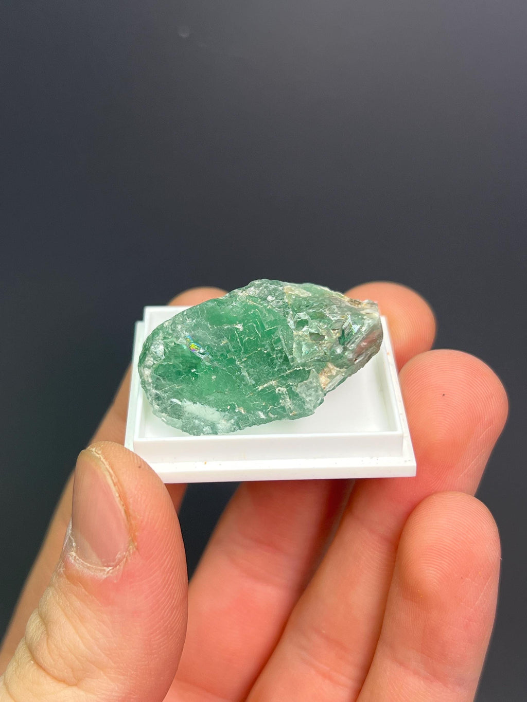 Green Fluorite Specimen - Crystal Gemstone AE 