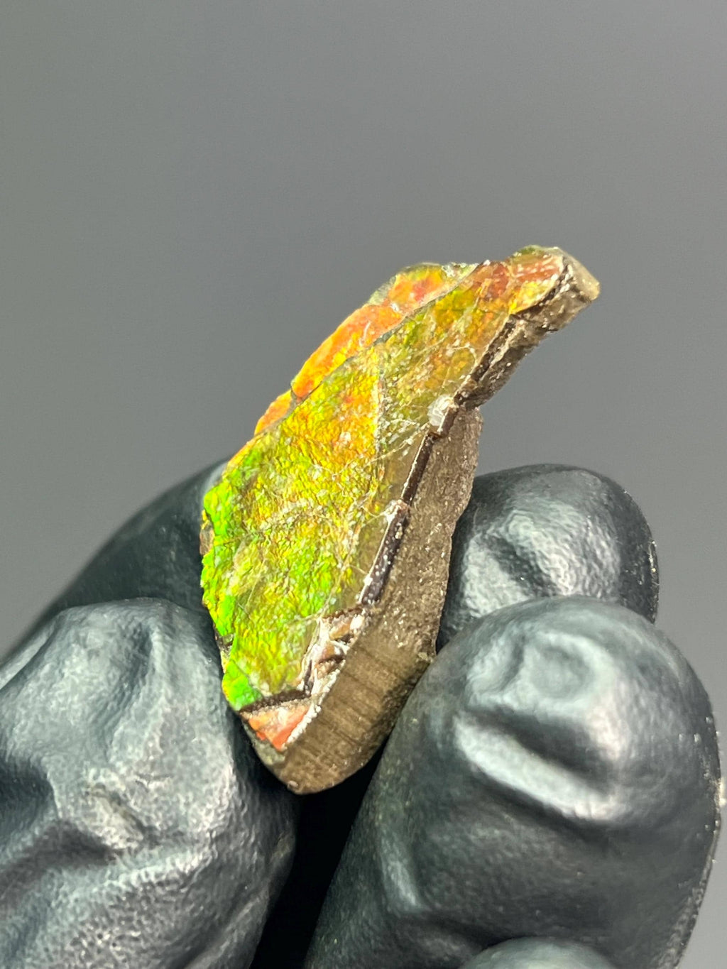 Iridescent Ammolite Specimen - Crystal Gemstone AE 