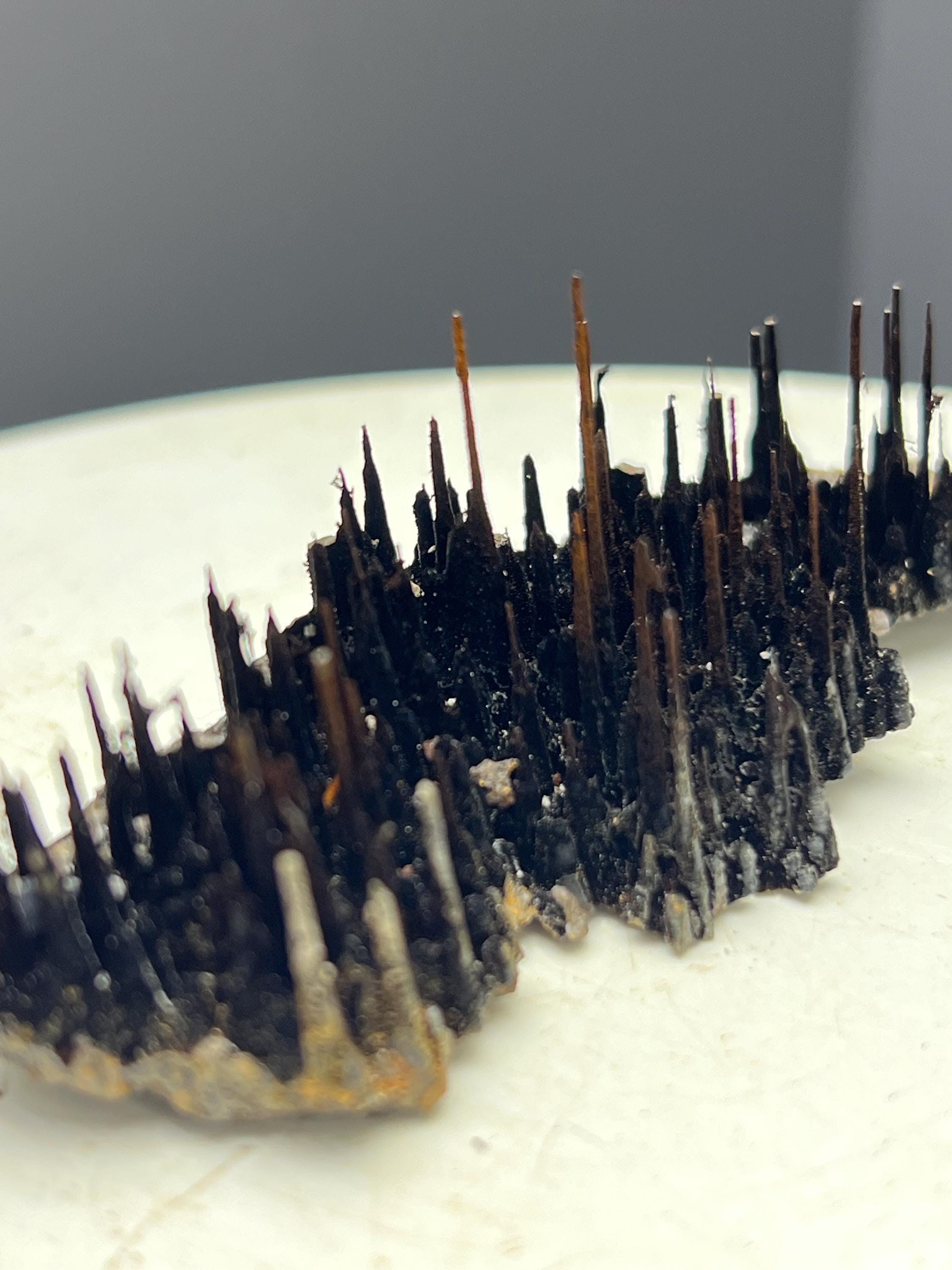 Museum Piece! Showy Stalactite Forest Goethite Specimen - Crystal Gemstone AE 