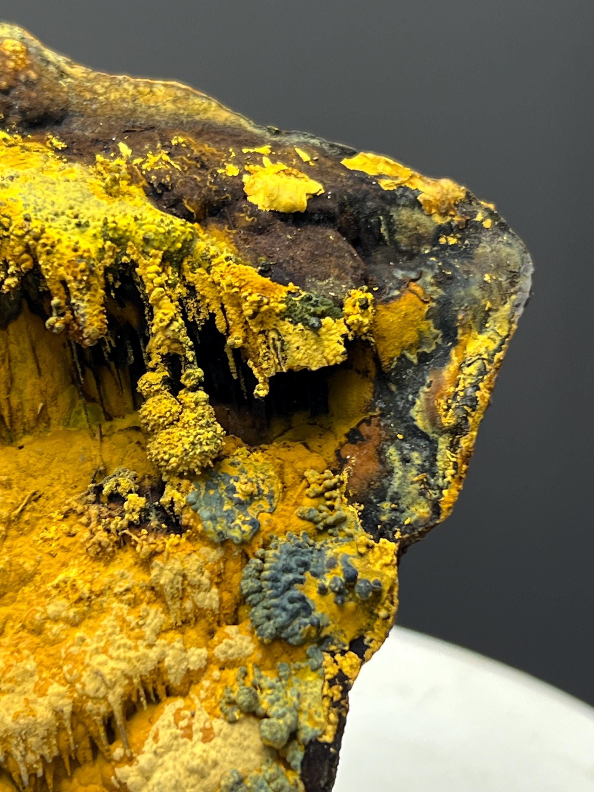 Very Special, Limonite With Botryoidal And Stalactite Formation Goethite - Crystal Gemstone AE 