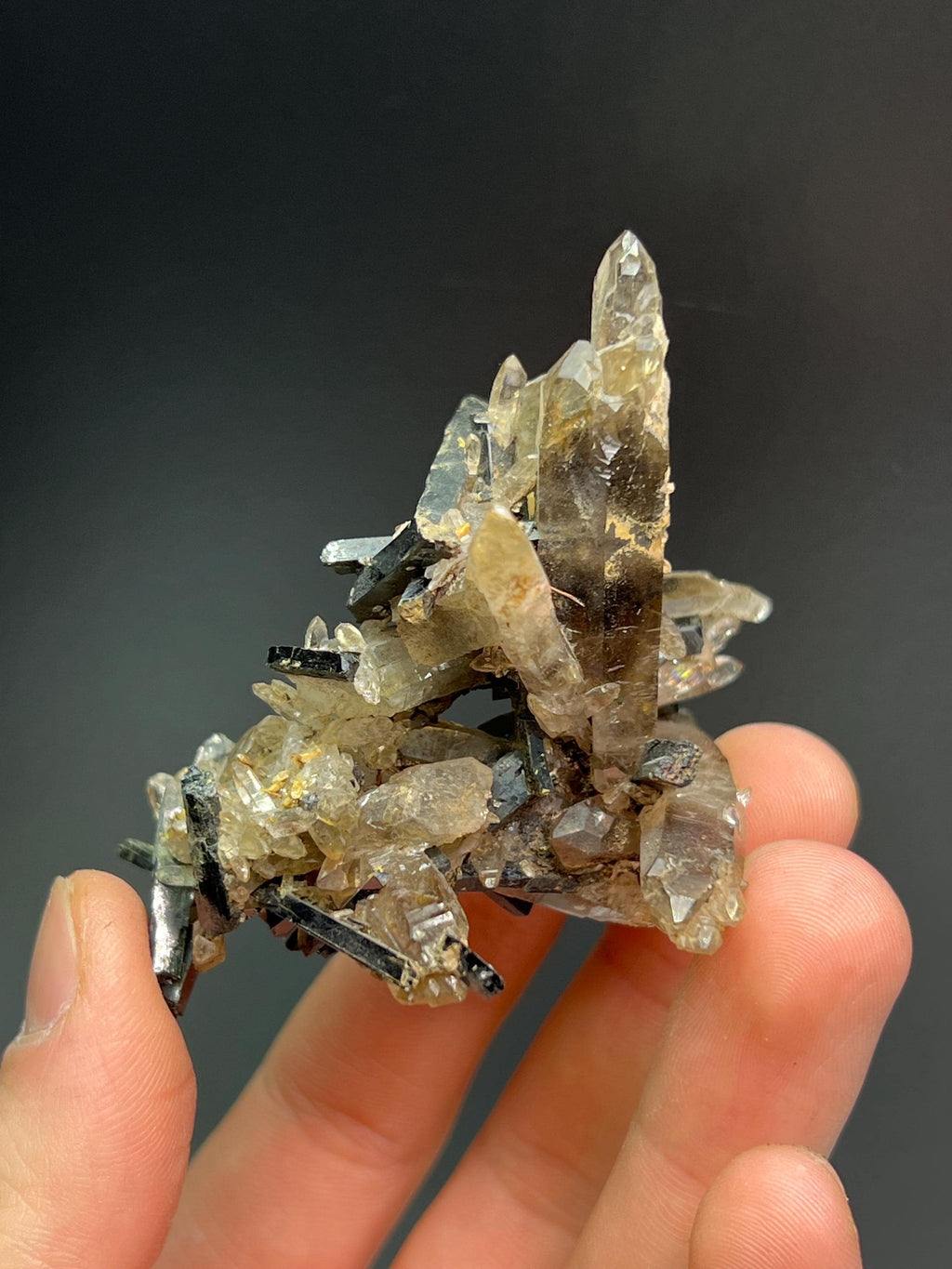 Smoky Quartz With Aegirine - Crystal Gemstone AE 
