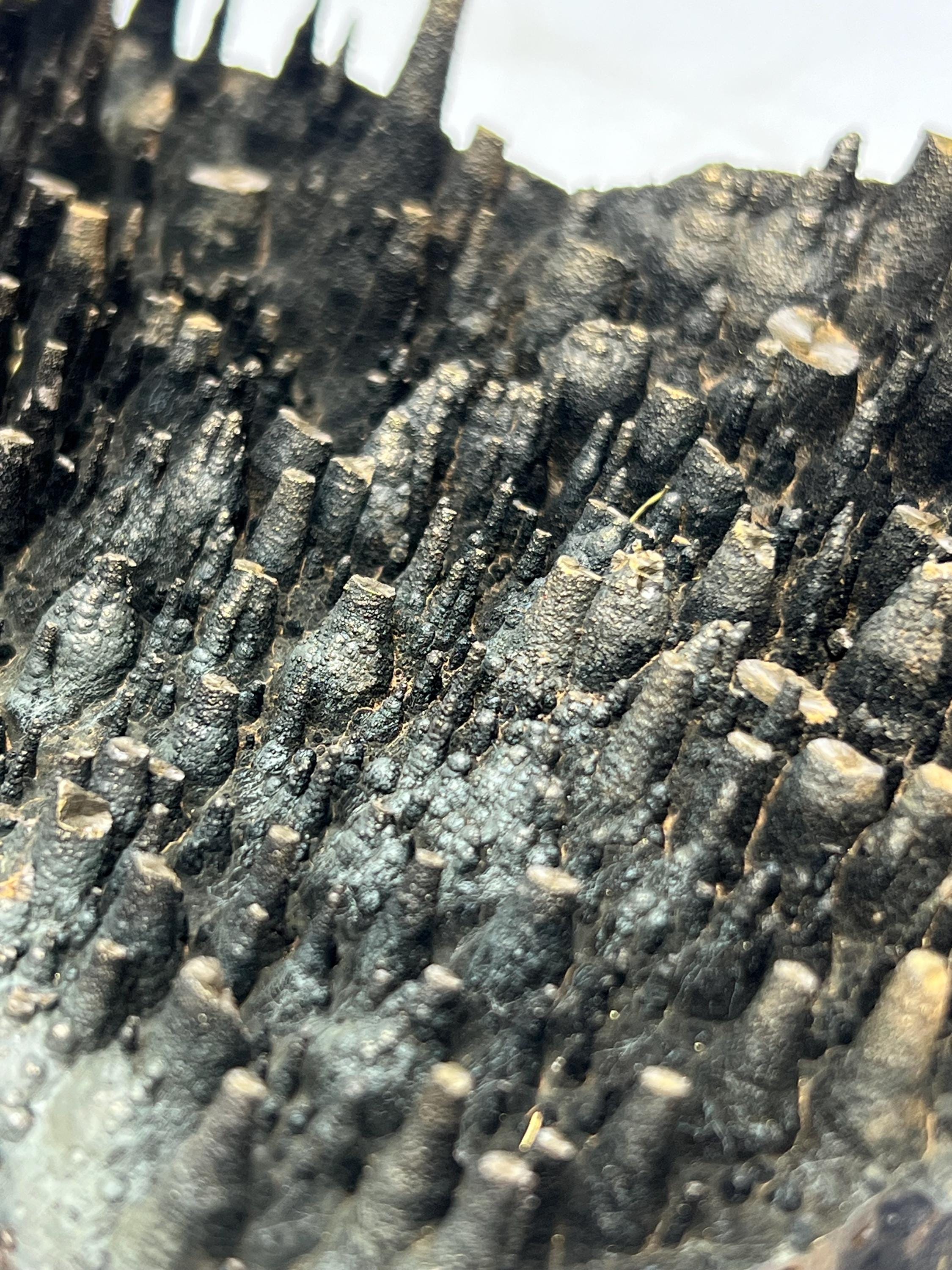Museum quality, Very Special Extra Large stalactite Goethite, Special Collection Piece - Crystal Gemstone AE 