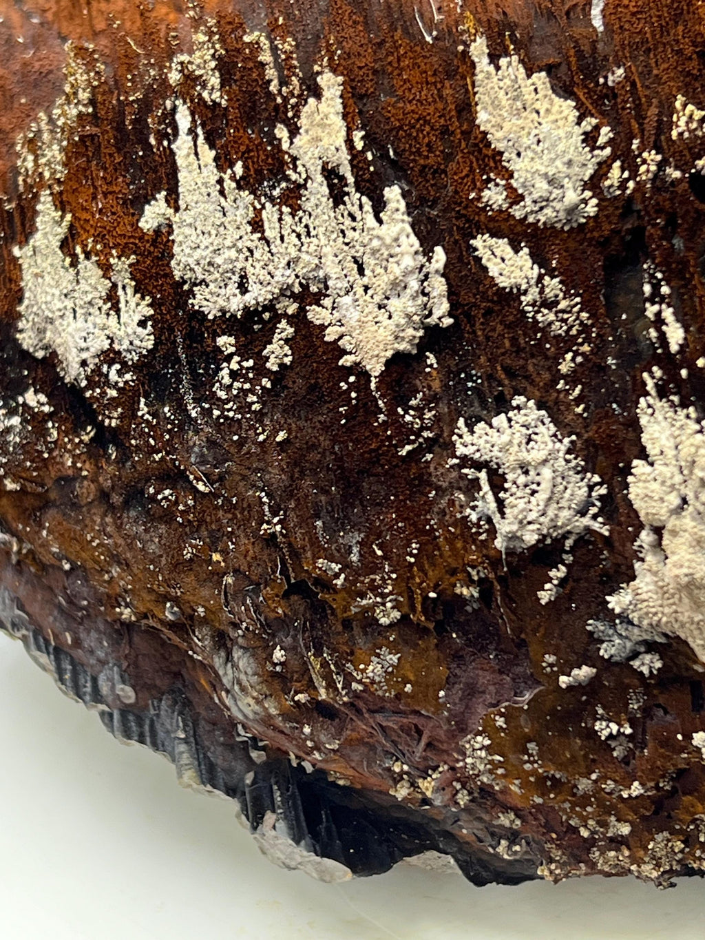 Museum Grade, Limonite And Specularite With Stalactite Goethite Specimen, For Special Collection Piece! - Crystal Gemstone AE 
