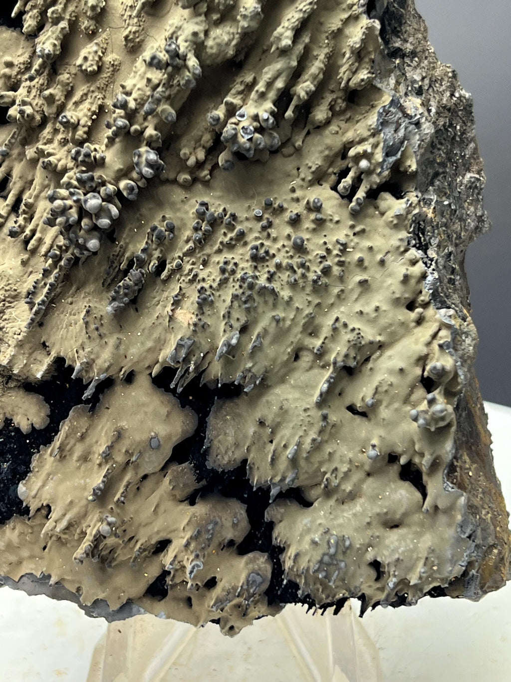 Very Special And Showy Specularite On Stalactite Goethite - Crystal Gemstone AE 