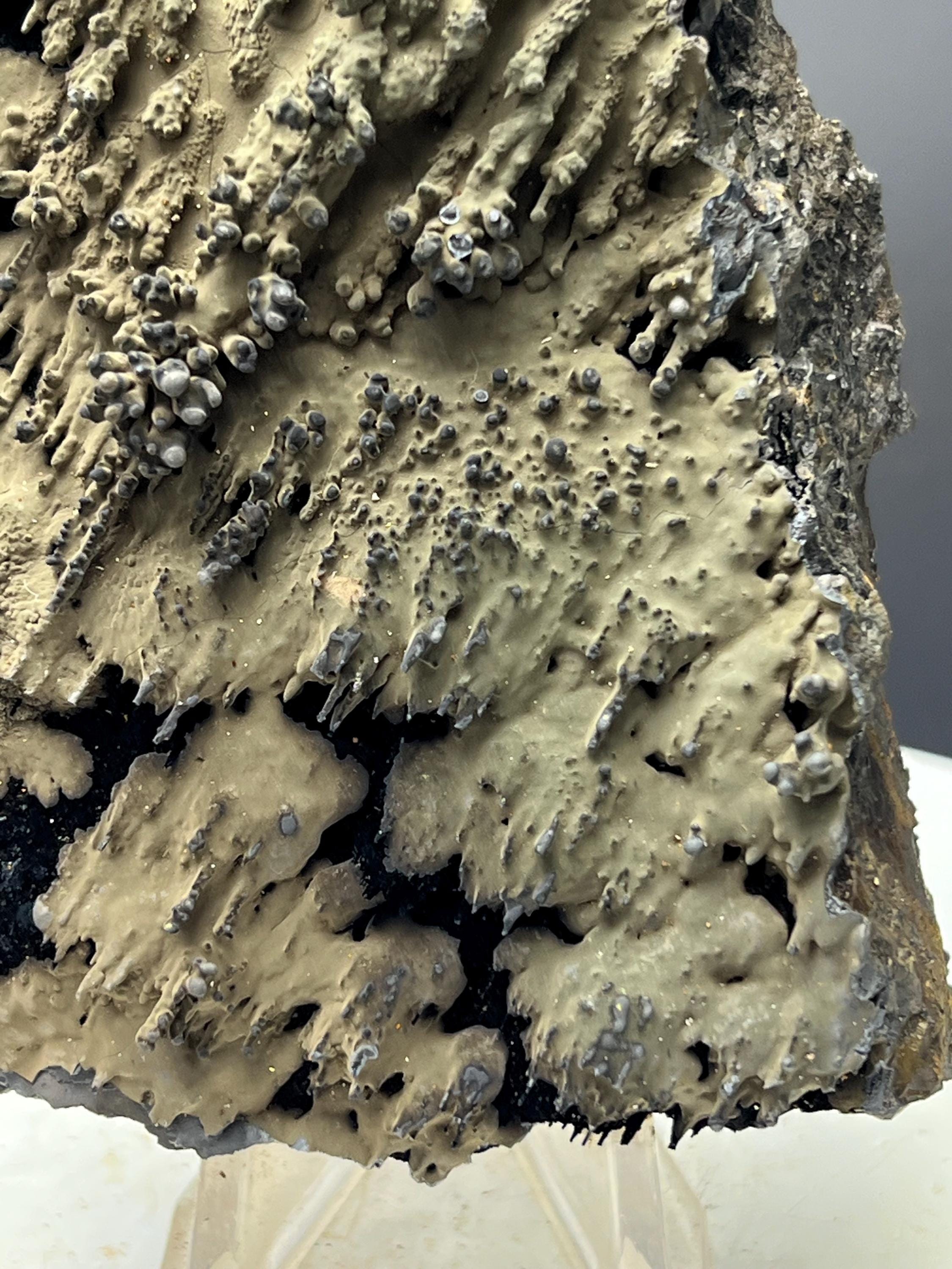 Very Special And Showy Specularite On Stalactite Goethite - Crystal Gemstone AE 