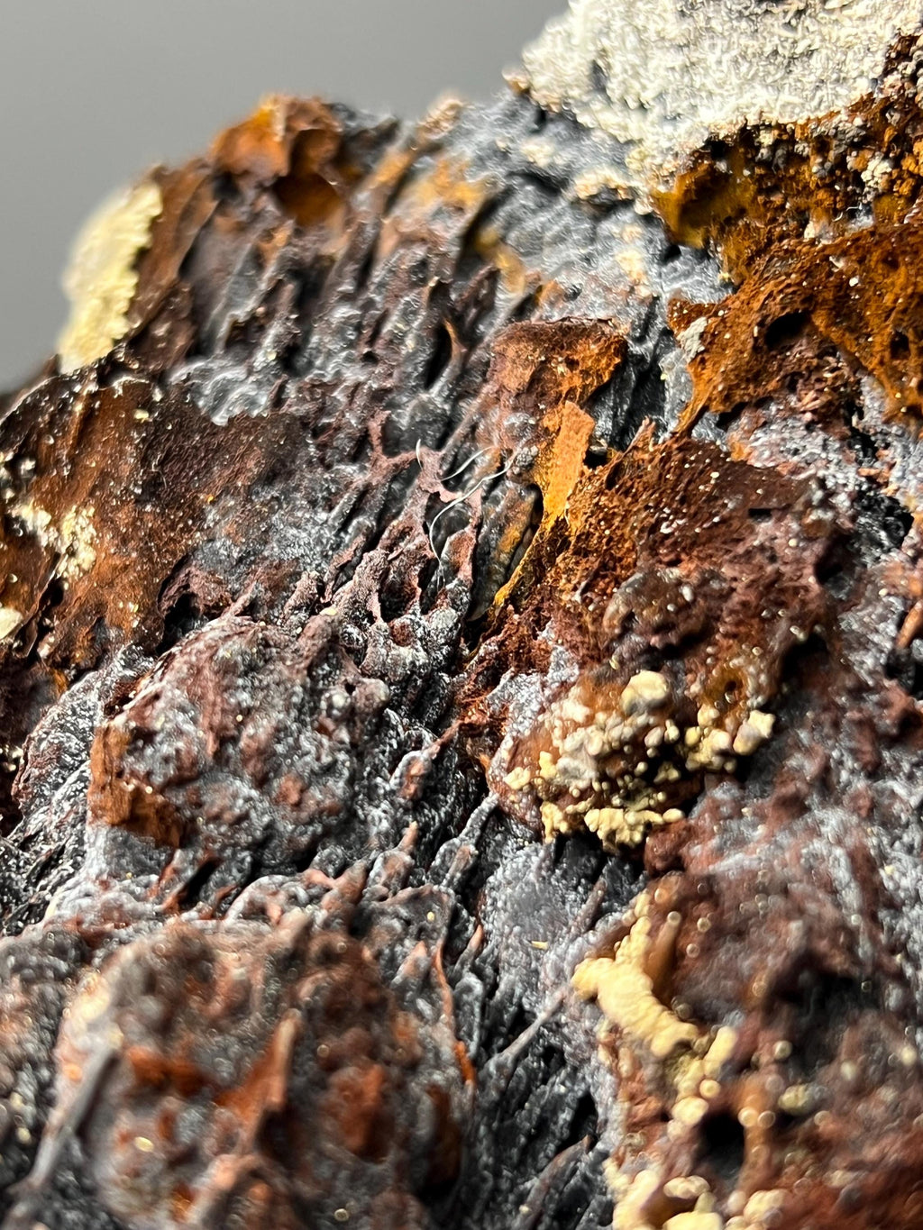 Museum Grade! Limonite And Specularite With Velvet Function Stalactites Goethite - Crystal Gemstone AE 