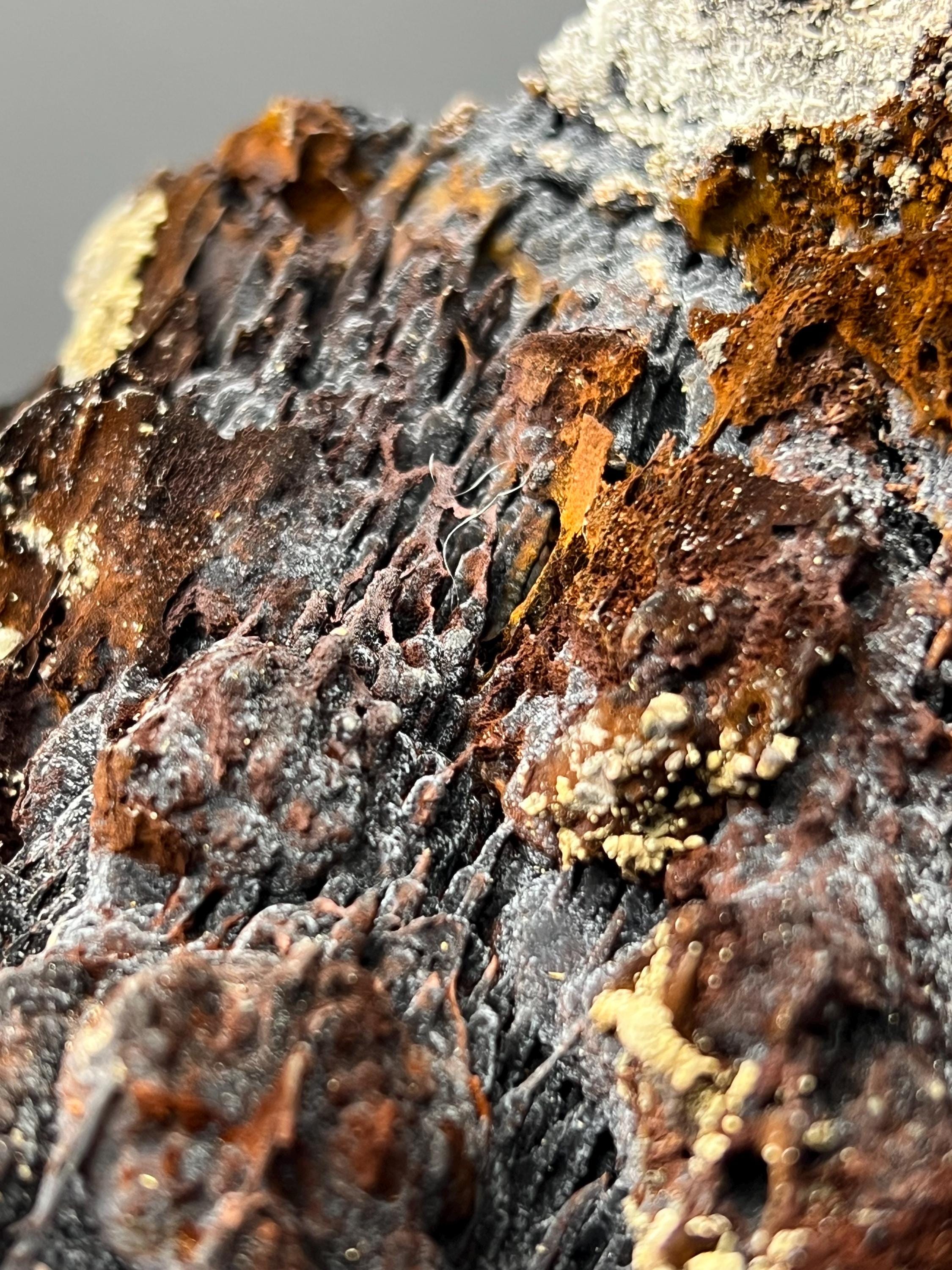 Museum Grade! Limonite And Specularite With Velvet Function Stalactites Goethite - Crystal Gemstone AE 