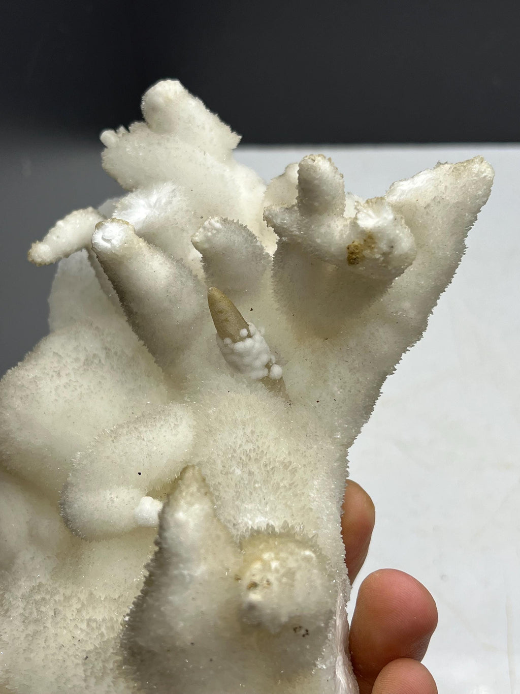 Special Formed Large Size Stalactite Aragonite Mineral, From Turkey - Crystal Gemstone AE 