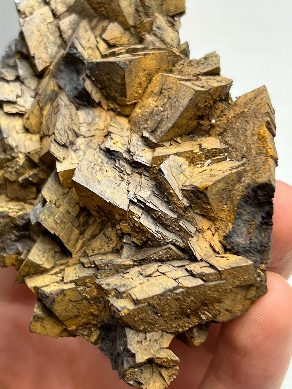 Museum quality, Very showy limonite on iron siderite, special collections piece - Crystal Gemstone AE 