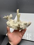 Very Special And Showy Stalactite And Botryoidal Formed Aragonite, From Turkey - Crystal Gemstone AE 