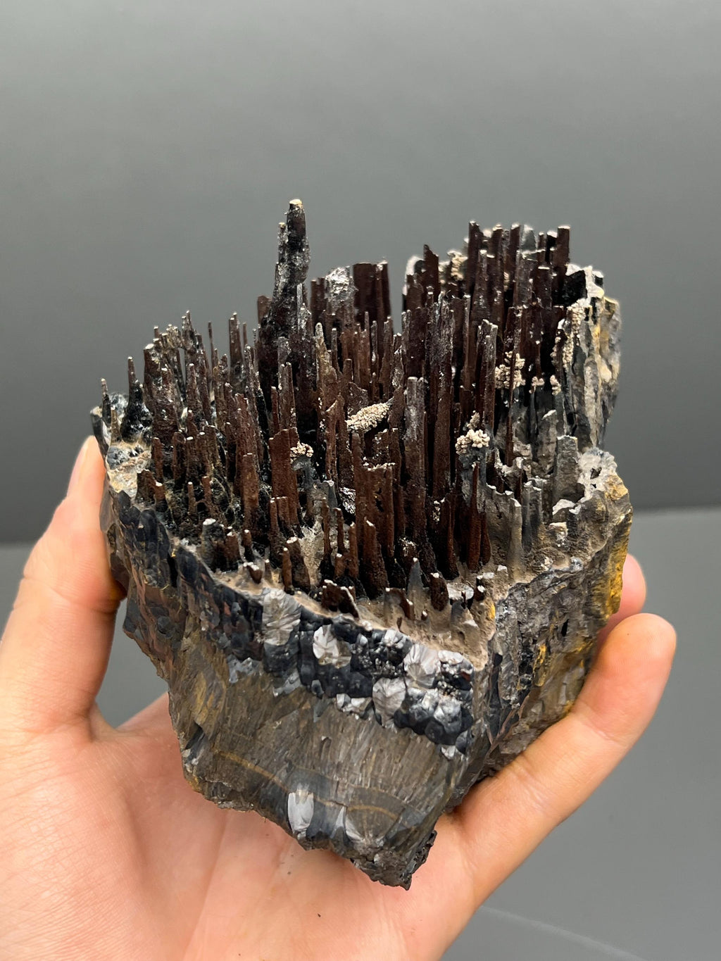 Museum Quality, Very Showy Limonite On Stalactite Goethite, For Special Collections - Crystal Gemstone AE 