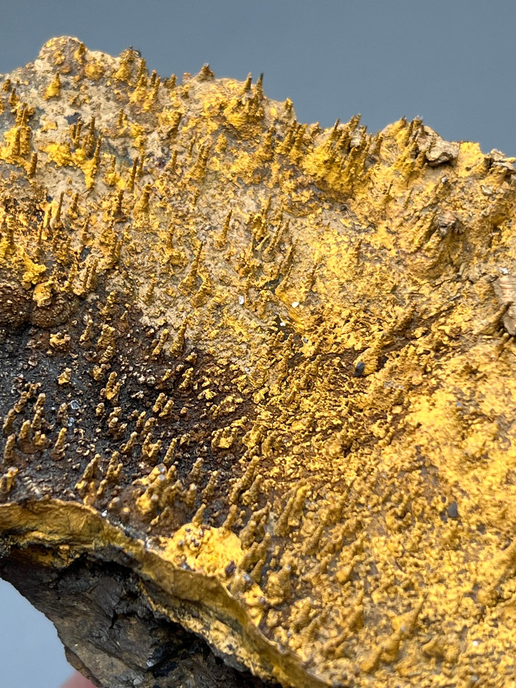 Museum quality, Very Showy Limonite On Stalactite Hematite, Special Collection Piece - Crystal Gemstone AE 