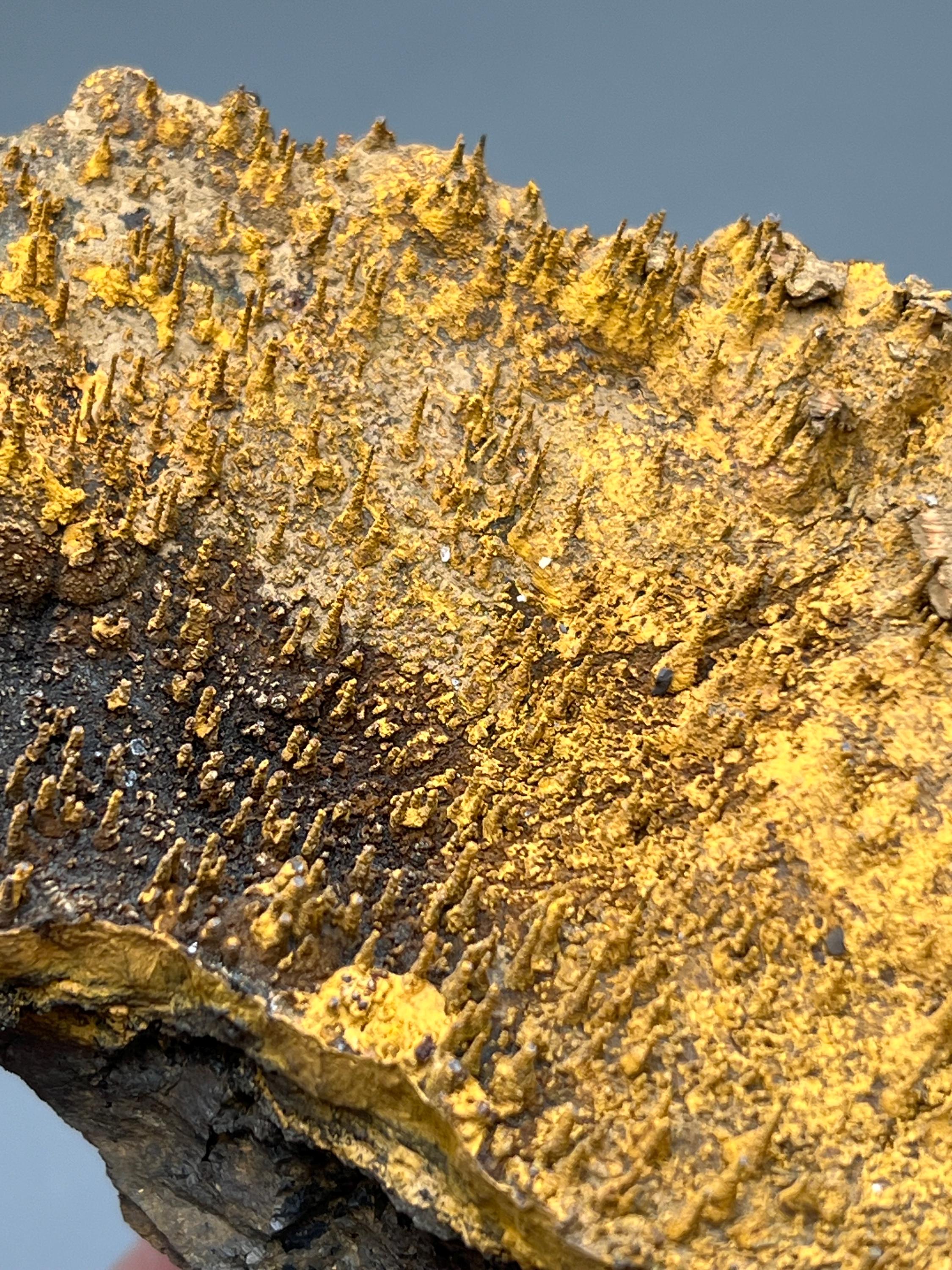 Museum quality, Very Showy Limonite On Stalactite Hematite, Special Collection Piece - Crystal Gemstone AE 