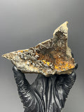 Museum Grade Limonite And Specularite On Stalactite Goethite - Crystal Gemstone AE 