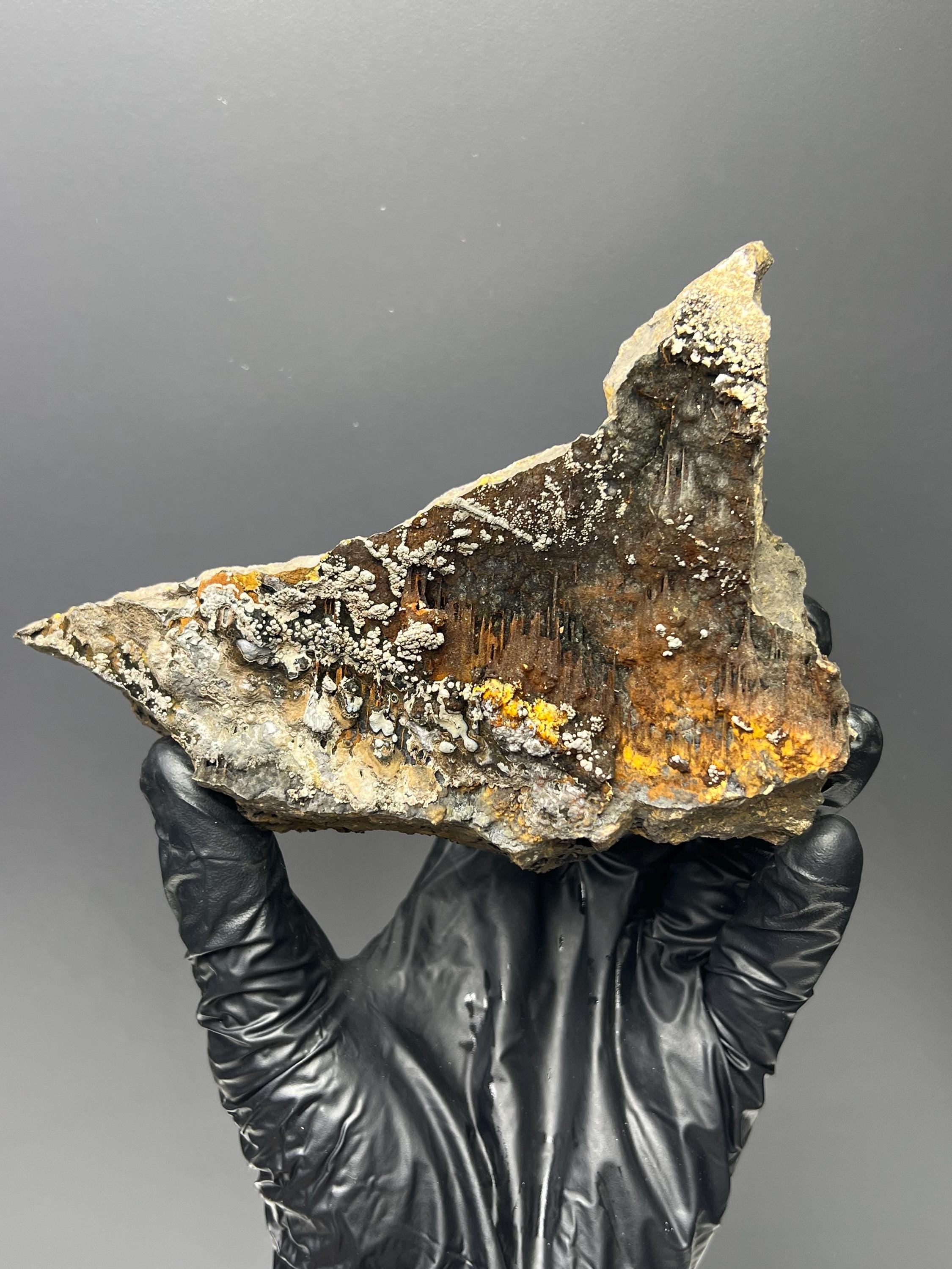 Museum Grade Limonite And Specularite On Stalactite Goethite - Crystal Gemstone AE 