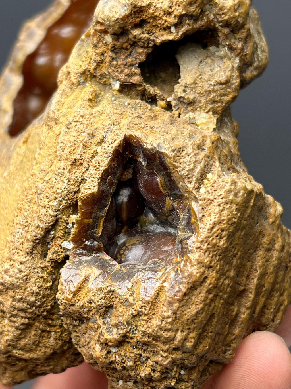 Red Fox Agate Specimen - Crystal Gemstone AE 