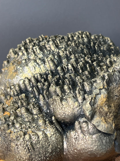 Museum Grade, Very Special Golden Color Stalactite Goethite Specimen, For Special Collection - Crystal Gemstone AE 