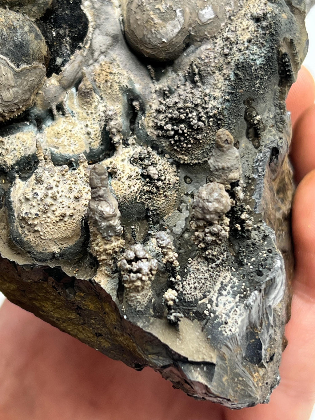 Very Unique, Specularite and limonite on stalactite Goethite, From Turkey - Crystal Gemstone AE 