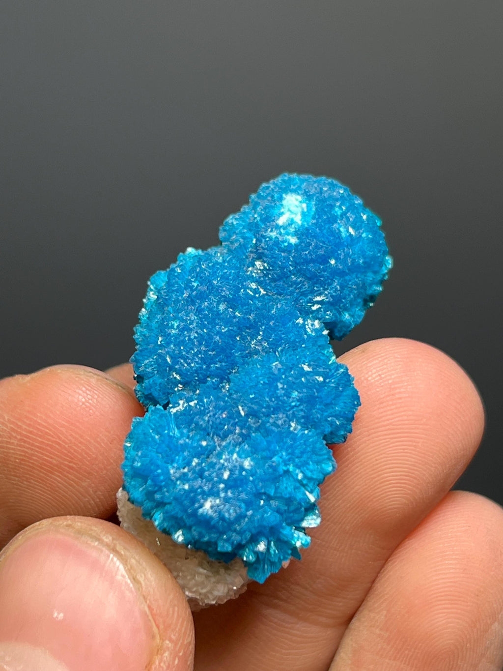 Museum Grade, Cavansite Specimen - India - Crystal Gemstone AE 