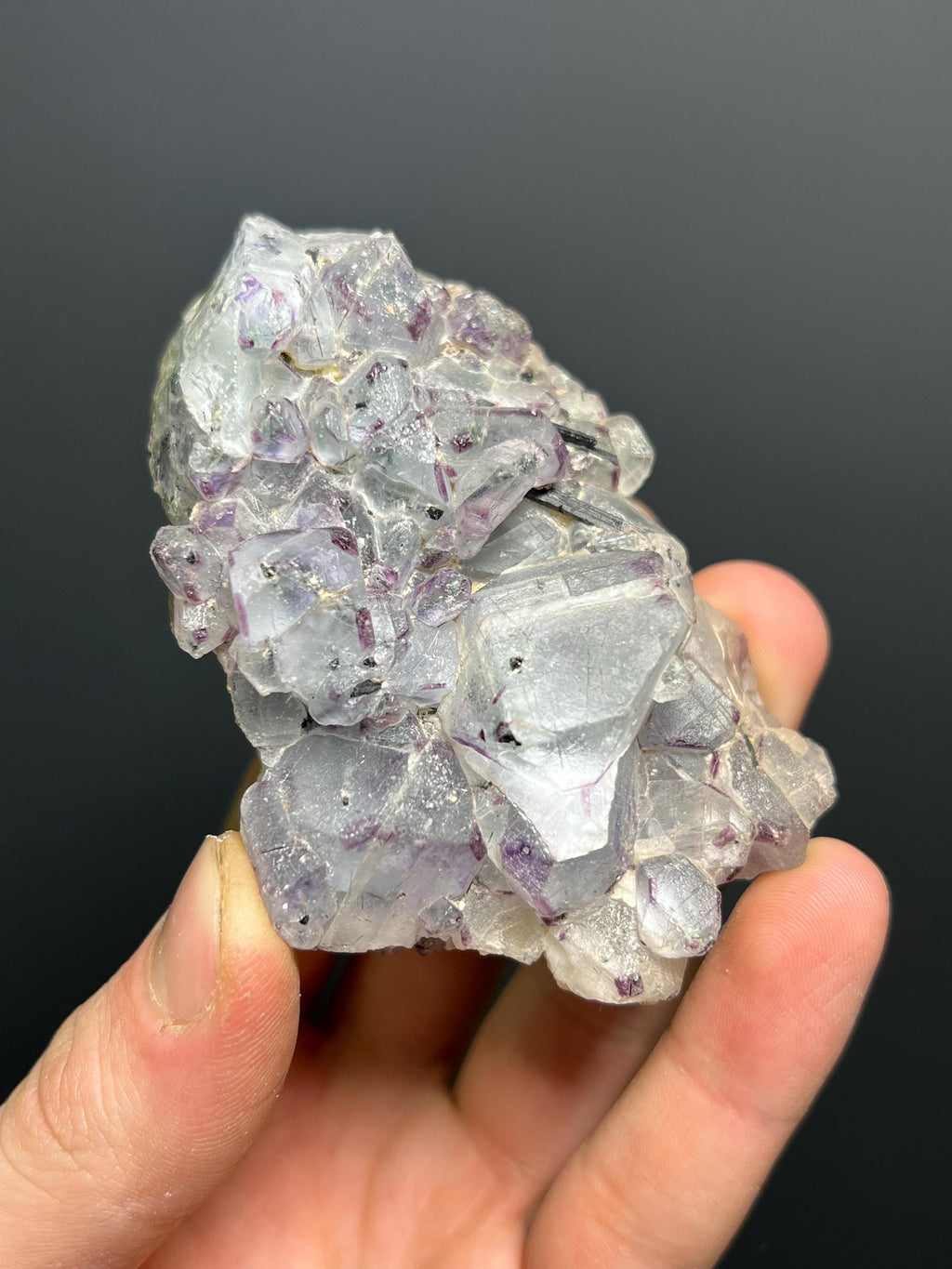Fluorite in Black Tourmaline - Namibia - Crystal Gemstone AE 