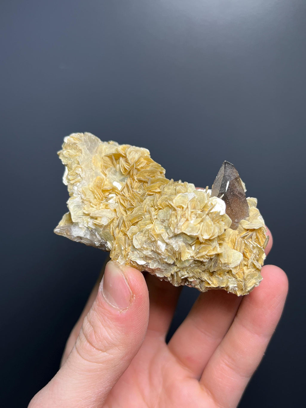 Muscovite With Smoky Quartz - Brazil - Crystal Gemstone AE 