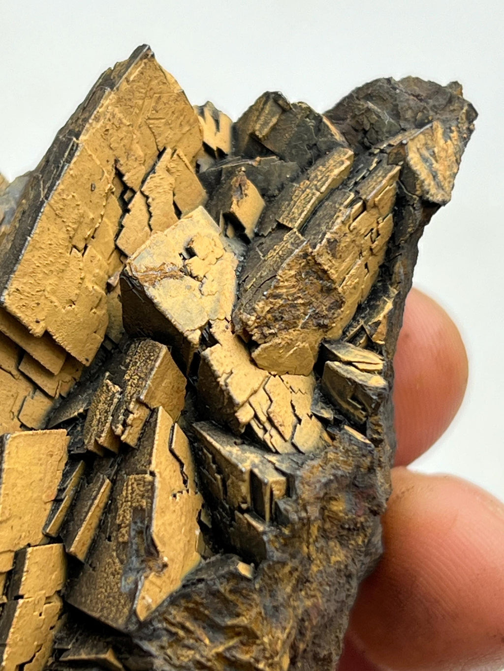 Museum quality, Very showy limonite on iron siderite, From Turkey - Crystal Gemstone AE 