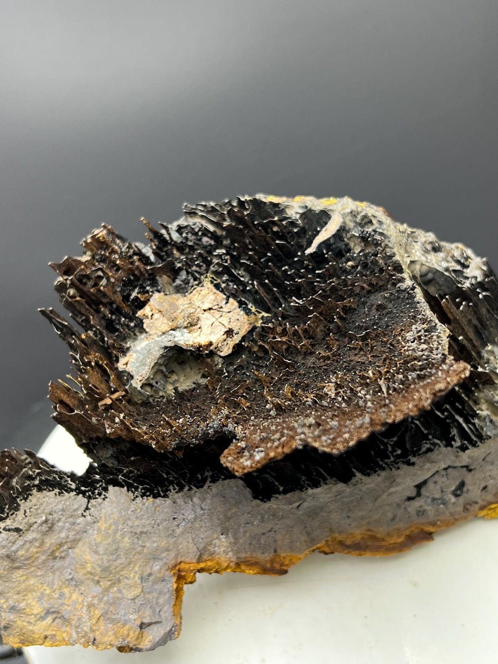 Museum Grade, Very Special Limonite With Stalactite Goethite Specimen - Crystal Gemstone AE 