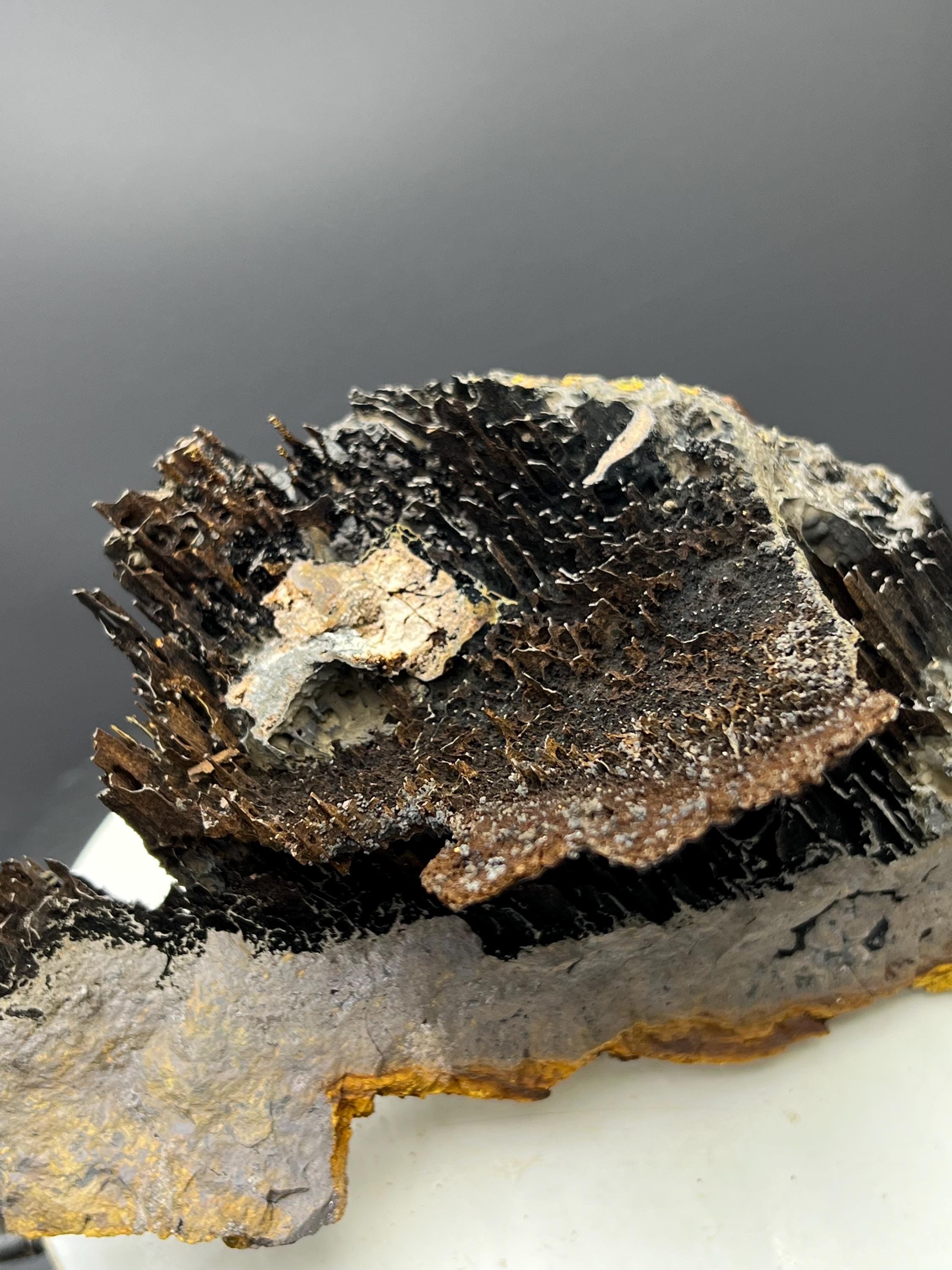 Museum Grade, Very Special Limonite With Stalactite Goethite Specimen - Crystal Gemstone AE 