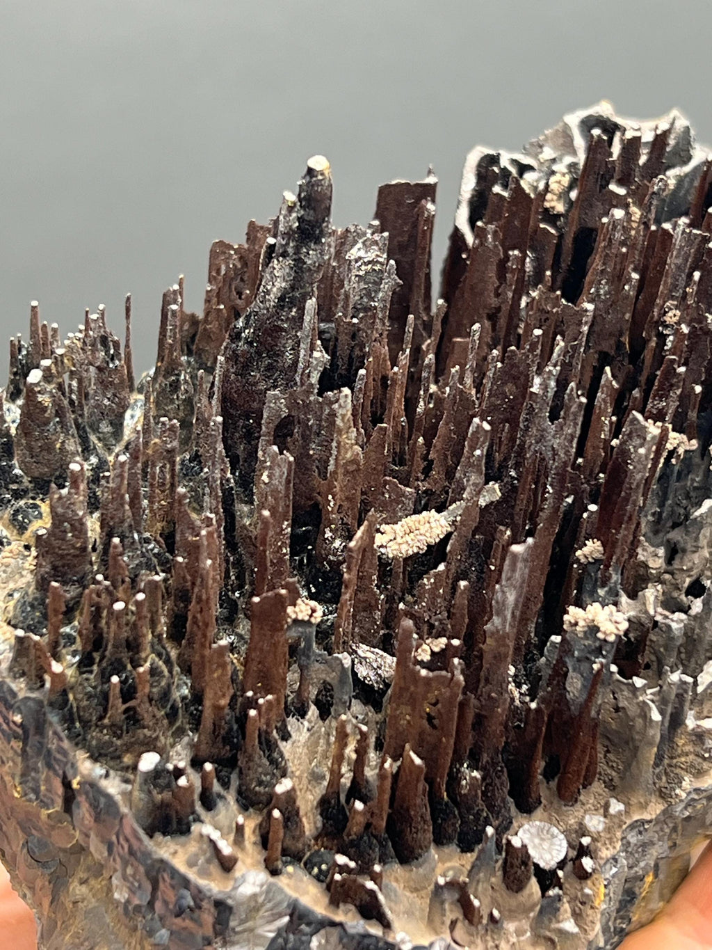 Museum Quality, Very Showy Limonite On Stalactite Goethite, For Special Collections - Crystal Gemstone AE 