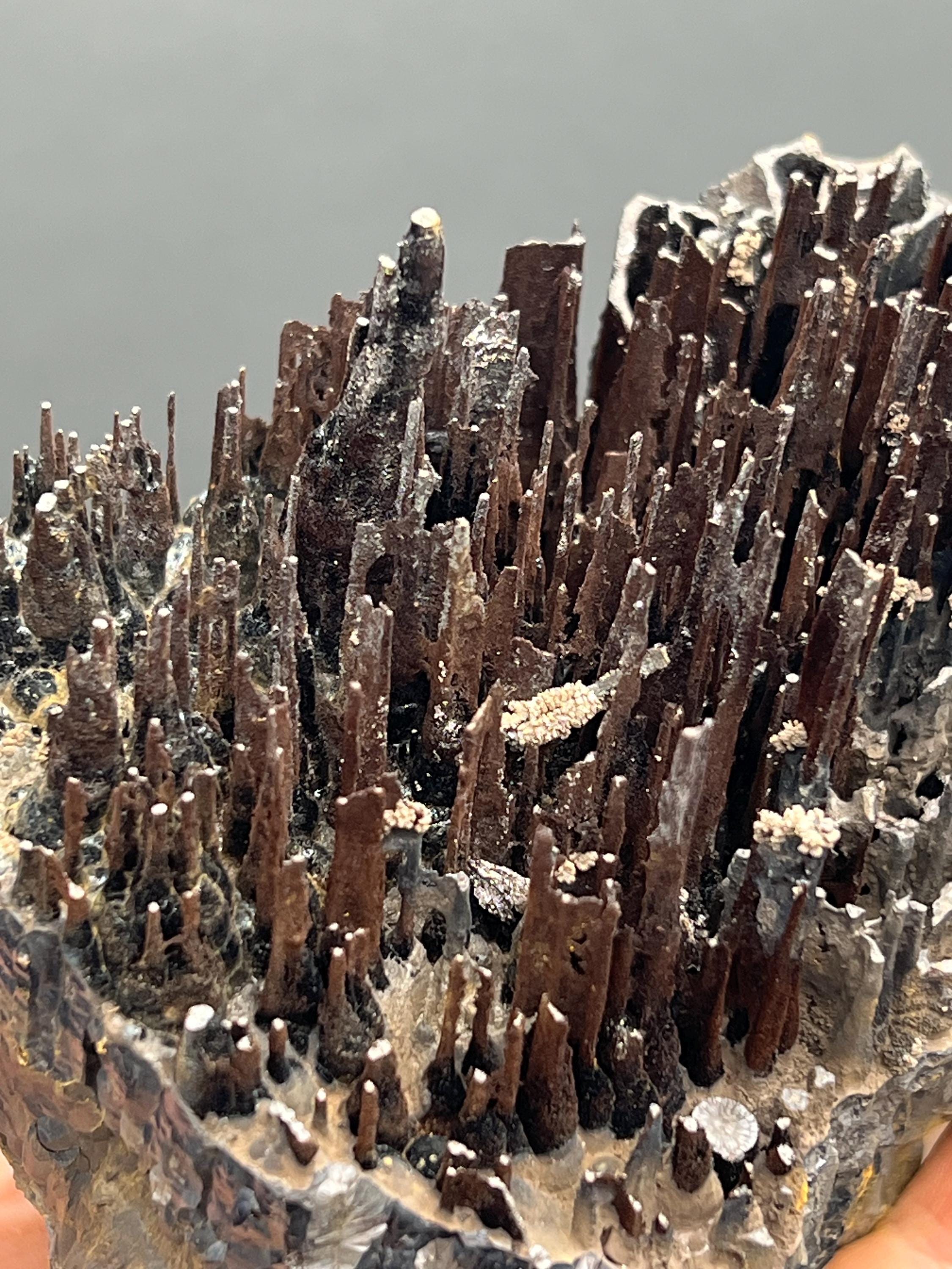 Museum Quality, Very Showy Limonite On Stalactite Goethite, For Special Collections - Crystal Gemstone AE 