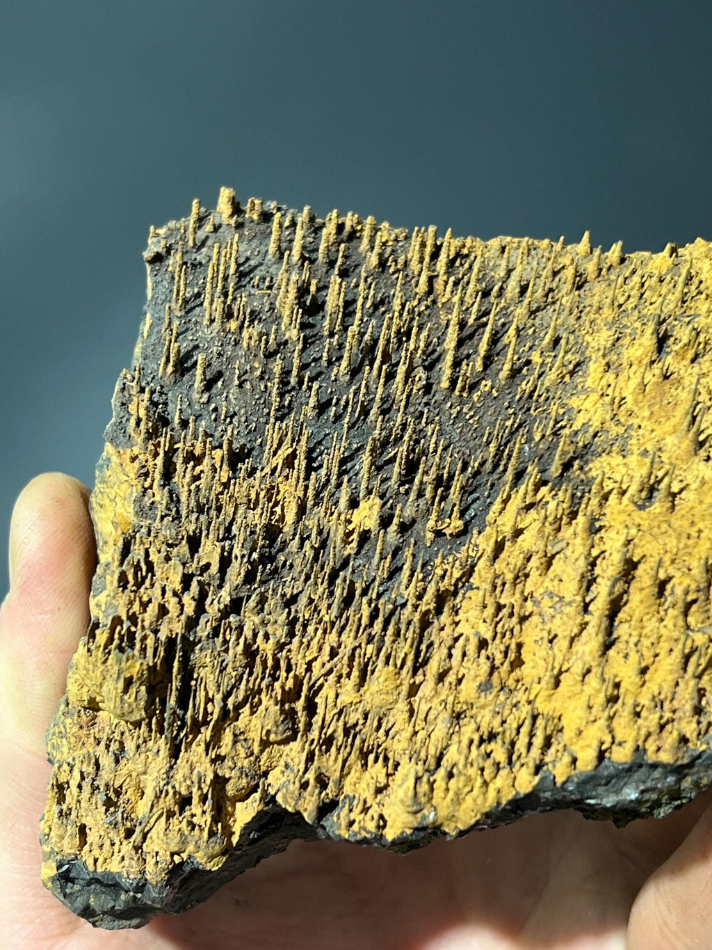 Museum Piece, Limonite With Stalactite Goethite - Crystal Gemstone AE 