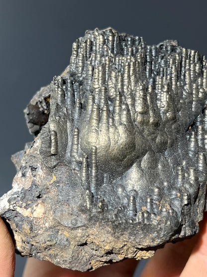 Museum Quality Golden Color Stalactite Goethite - Crystal Gemstone AE 