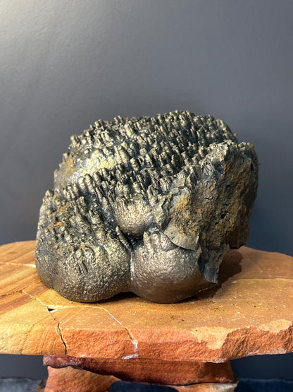 Museum Grade, Very Special Golden Color Stalactite Goethite Specimen, For Special Collection - Crystal Gemstone AE 